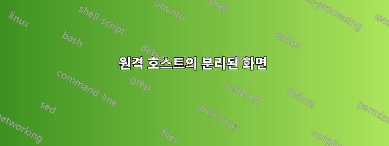 원격 호스트의 분리된 화면