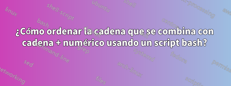 ¿Cómo ordenar la cadena que se combina con cadena + numérico usando un script bash?