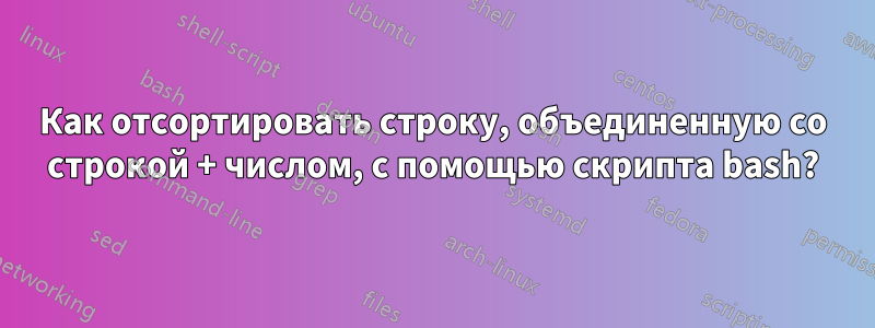 Как отсортировать строку, объединенную со строкой + числом, с помощью скрипта bash?