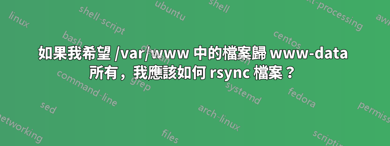 如果我希望 /var/www 中的檔案歸 www-data 所有，我應該如何 rsync 檔案？