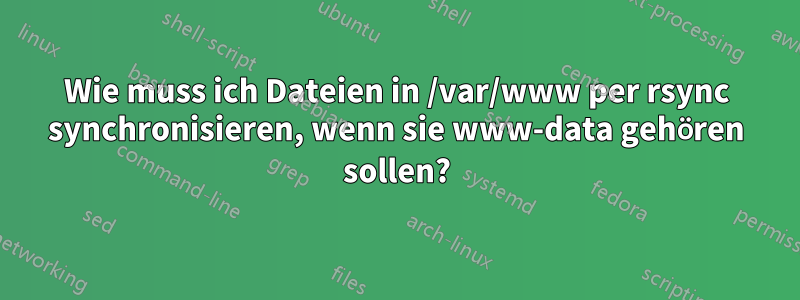 Wie muss ich Dateien in /var/www per rsync synchronisieren, wenn sie www-data gehören sollen?