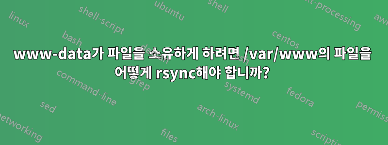 www-data가 파일을 소유하게 하려면 /var/www의 파일을 어떻게 rsync해야 합니까?