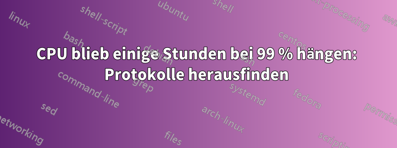 CPU blieb einige Stunden bei 99 % hängen: Protokolle herausfinden