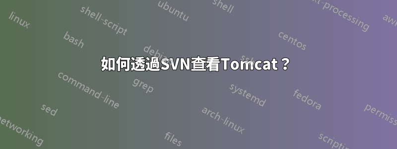 如何透過SVN查看Tomcat？