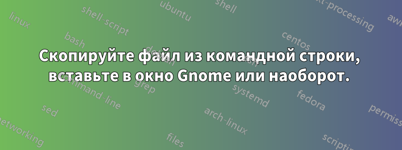 Скопируйте файл из командной строки, вставьте в окно Gnome или наоборот.