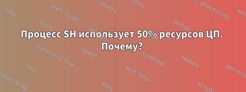 Процесс SH использует 50% ресурсов ЦП. Почему?