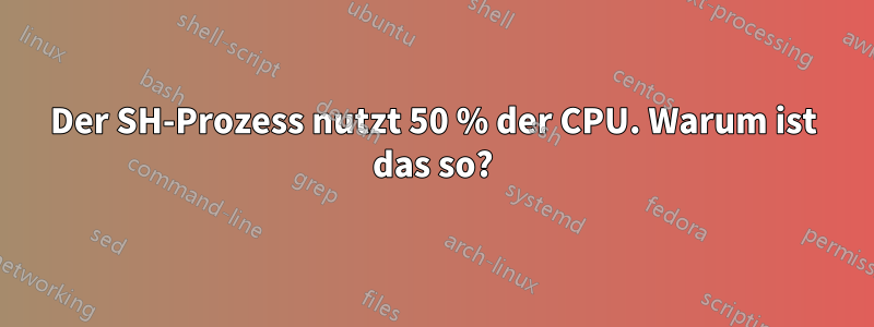 Der SH-Prozess nutzt 50 % der CPU. Warum ist das so?