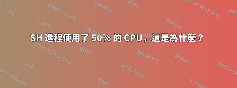 SH 進程使用了 50% 的 CPU，這是為什麼？