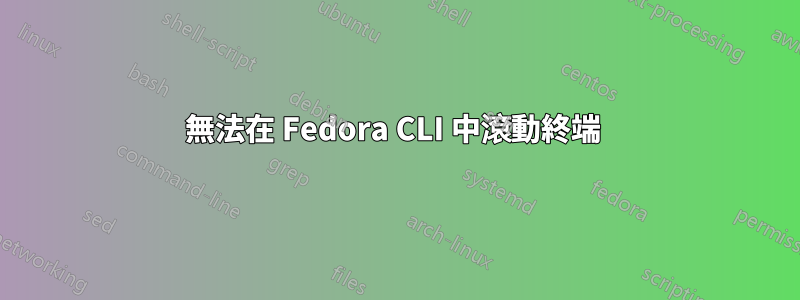 無法在 Fedora CLI 中滾動終端 