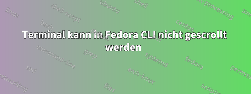 Terminal kann in Fedora CLI nicht gescrollt werden 