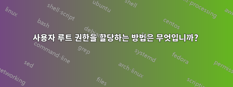 사용자 루트 권한을 할당하는 방법은 무엇입니까?