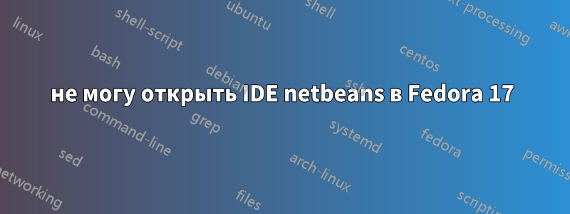 не могу открыть IDE netbeans в Fedora 17