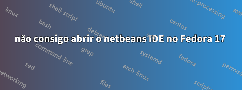 não consigo abrir o netbeans IDE no Fedora 17