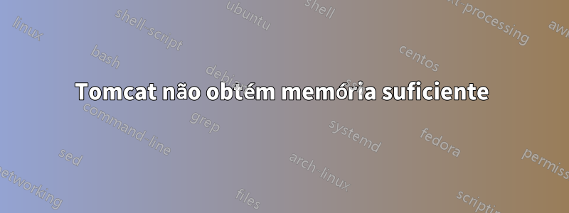 Tomcat não obtém memória suficiente