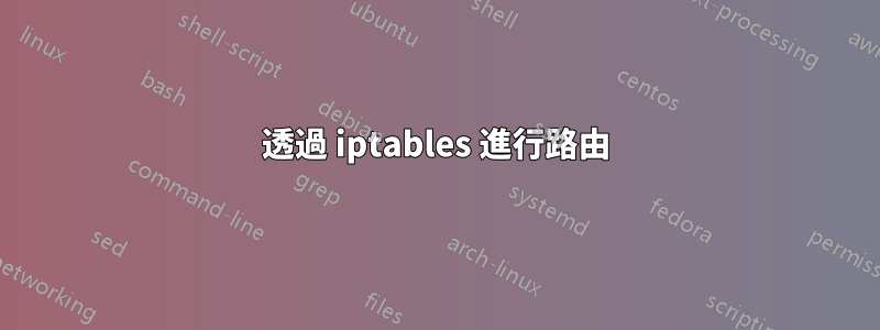 透過 iptables 進行路由