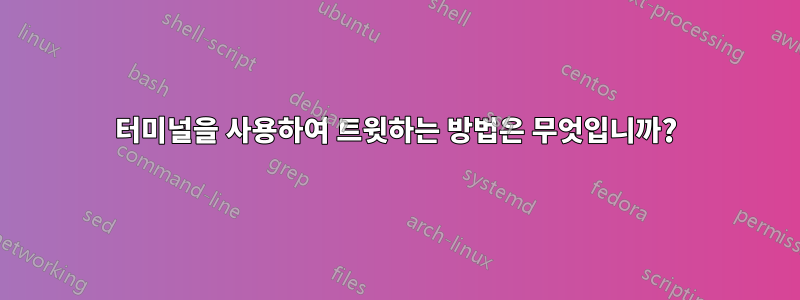 터미널을 사용하여 트윗하는 방법은 무엇입니까?