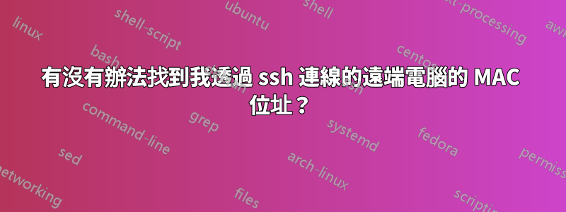 有沒有辦法找到我透過 ssh 連線的遠端電腦的 MAC 位址？