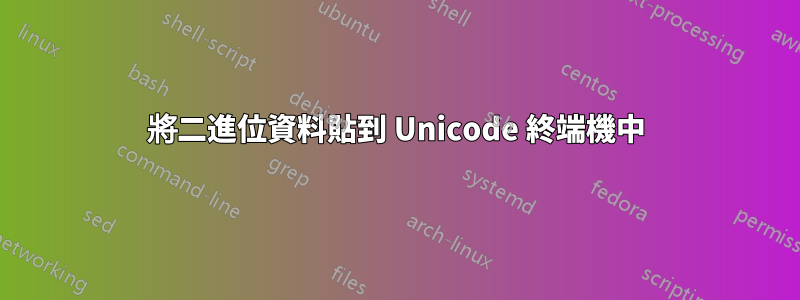 將二進位資料貼到 Unicode 終端機中