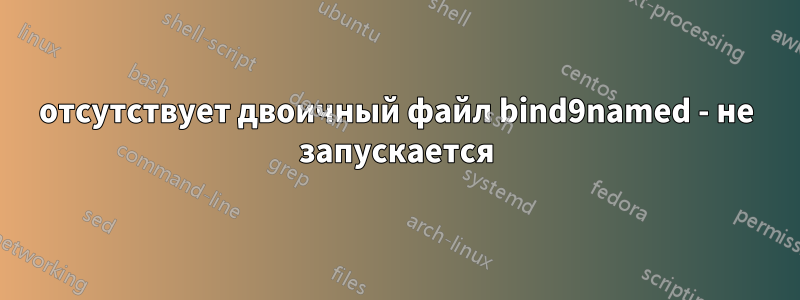 отсутствует двоичный файл bind9named - не запускается