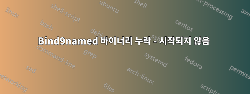 Bind9named 바이너리 누락 - 시작되지 않음