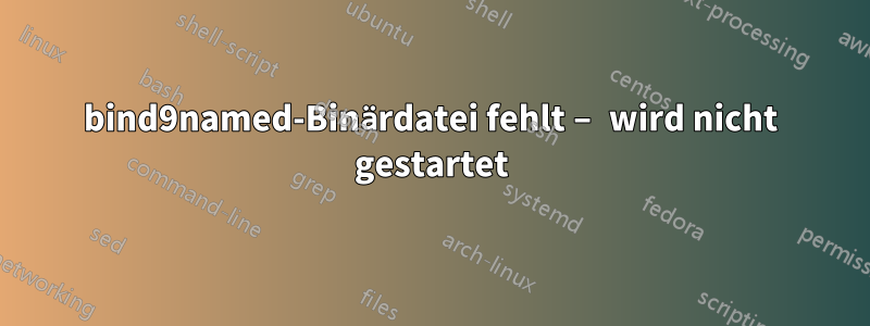 bind9named-Binärdatei fehlt – wird nicht gestartet