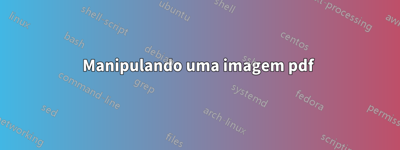 Manipulando uma imagem pdf