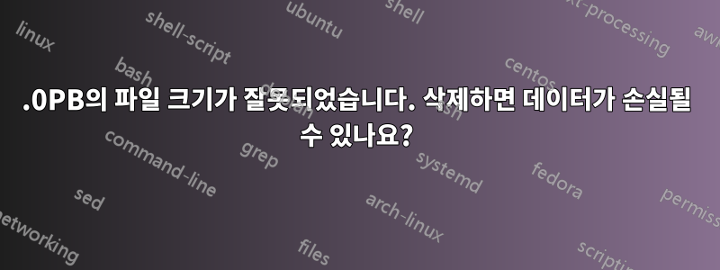 60.0PB의 파일 크기가 잘못되었습니다. 삭제하면 데이터가 손실될 수 있나요?