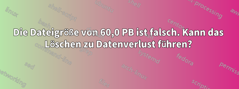 Die Dateigröße von 60,0 PB ist falsch. Kann das Löschen zu Datenverlust führen?