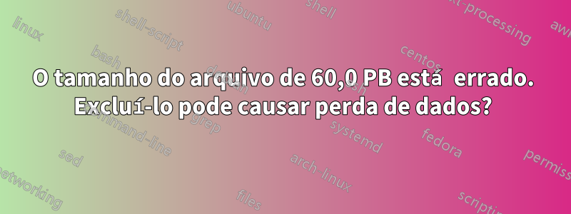 O tamanho do arquivo de 60,0 PB está errado. Excluí-lo pode causar perda de dados?