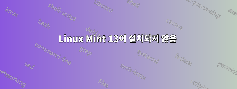 Linux Mint 13이 설치되지 않음