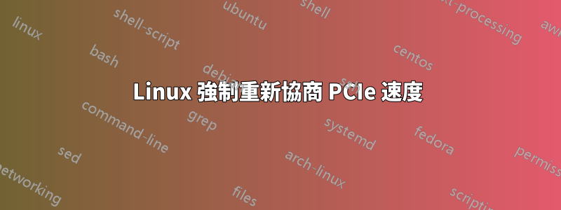 Linux 強制重新協商 PCIe 速度