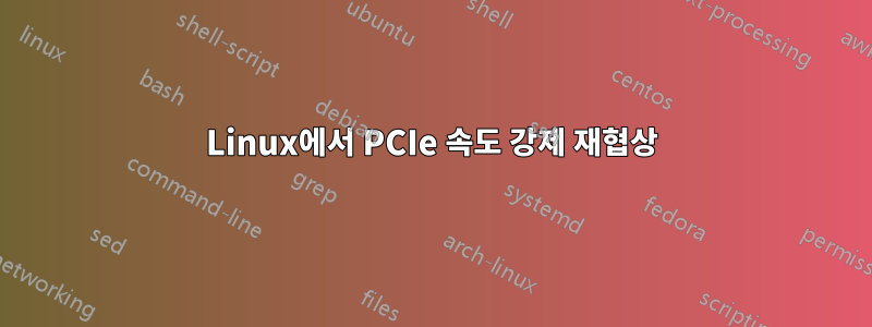 Linux에서 PCIe 속도 강제 재협상