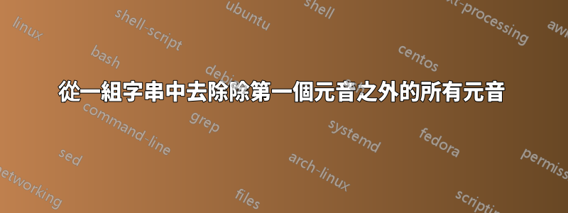 從一組字串中去除除第一個元音之外的所有元音