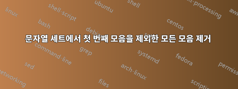 문자열 세트에서 첫 번째 모음을 제외한 모든 모음 제거