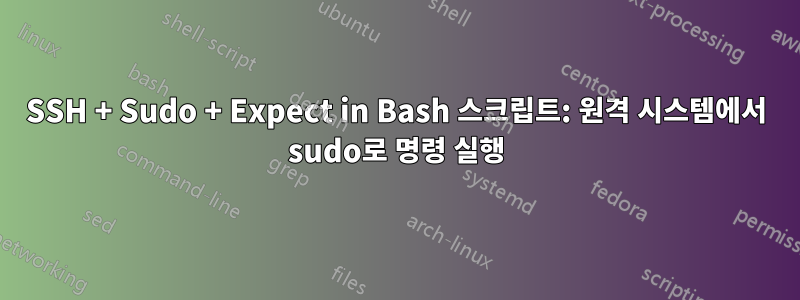 SSH + Sudo + Expect in Bash 스크립트: 원격 시스템에서 sudo로 명령 실행