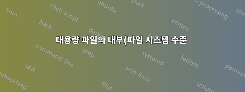 대용량 파일의 내부(파일 시스템 수준)에 대한 "멀티패스" 스크립트 수정?