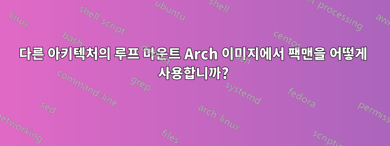 다른 아키텍처의 루프 마운트 Arch 이미지에서 팩맨을 어떻게 사용합니까?