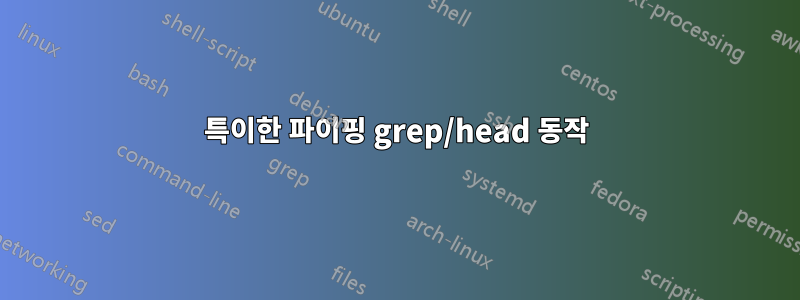 특이한 파이핑 grep/head 동작