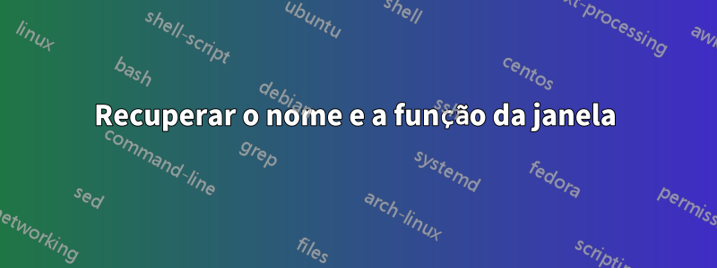 Recuperar o nome e a função da janela