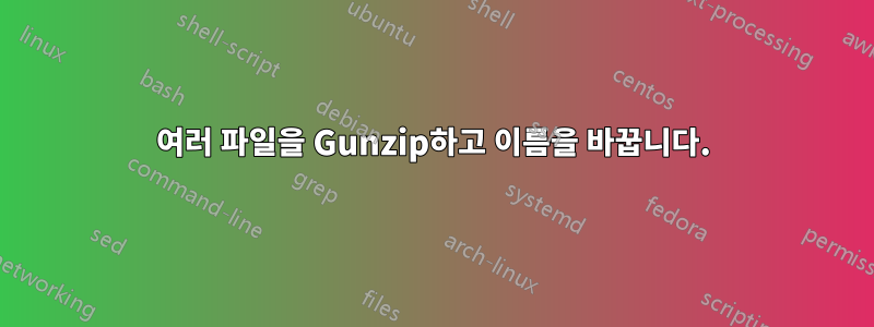 여러 파일을 Gunzip하고 이름을 바꿉니다.