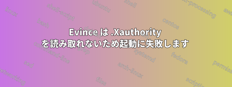 Evince は .Xauthority を読み取れないため起動に失敗します