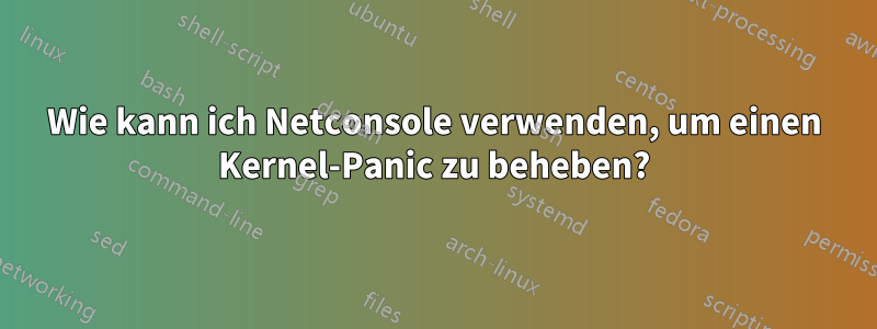 Wie kann ich Netconsole verwenden, um einen Kernel-Panic zu beheben?