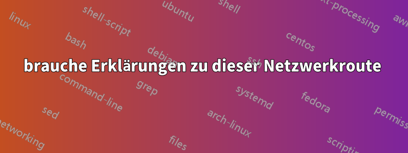 brauche Erklärungen zu dieser Netzwerkroute