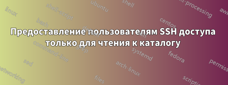 Предоставление пользователям SSH доступа только для чтения к каталогу