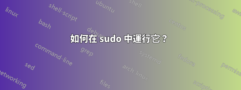 如何在 sudo 中運行它？