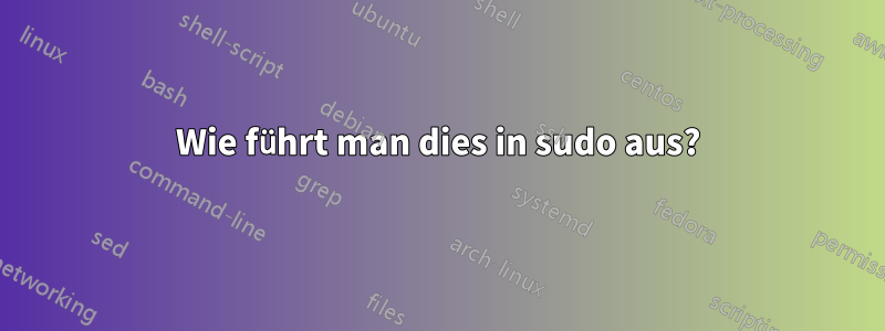 Wie führt man dies in sudo aus?