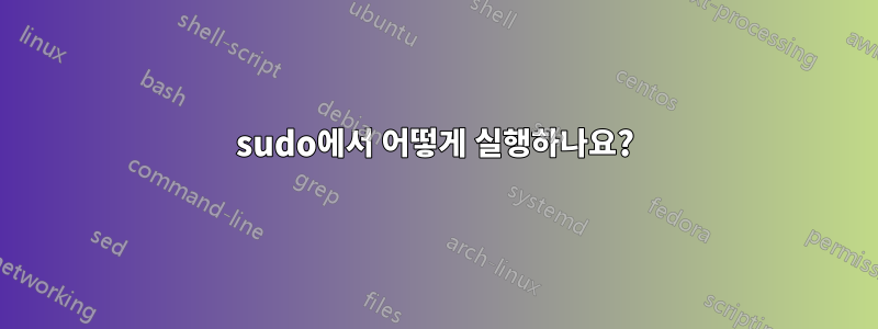 sudo에서 어떻게 실행하나요?