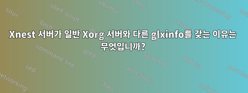 Xnest 서버가 일반 Xorg 서버와 다른 glxinfo를 갖는 이유는 무엇입니까?