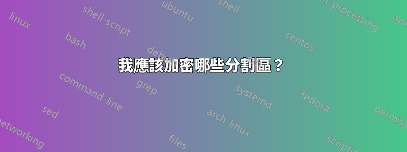 我應該加密哪些分割區？