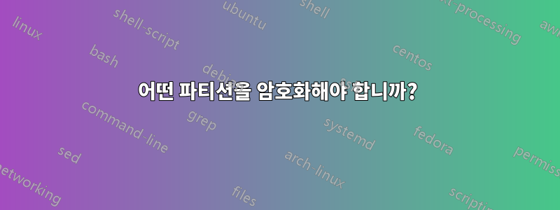 어떤 파티션을 암호화해야 합니까?